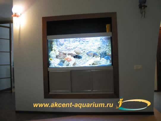 Акцент-аквариум,аквариум 400 литров с объемным фоном в нише